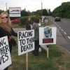 Campaigning for greyhounds